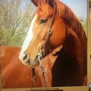 Meet your Posher, Claire